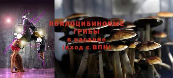 кристаллы Горняк