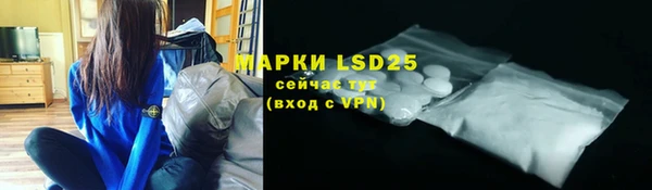 PSILOCYBIN Горнозаводск