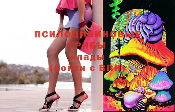 гидра Нефтекумск