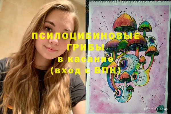 PSILOCYBIN Горнозаводск